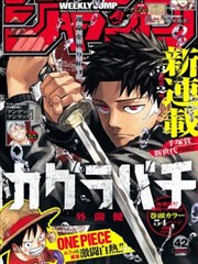 漫画改编纸页边界中文在线字幕观看电视剧版本封面